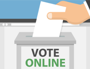 Secure online voting system