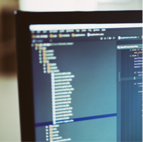 Development of a proprietary software for survey data collection and capture