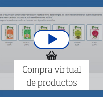 Compra virtual de productos
